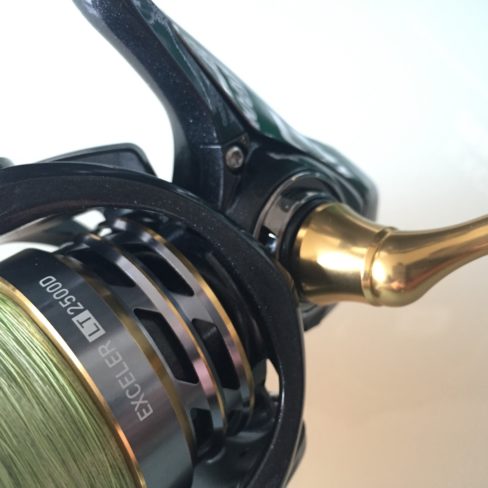 Daiwa Exceler LT im Detail