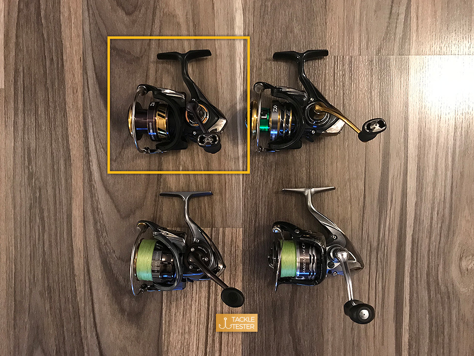 Ein neuer Maßstab - Daiwa Legalis LT im Test